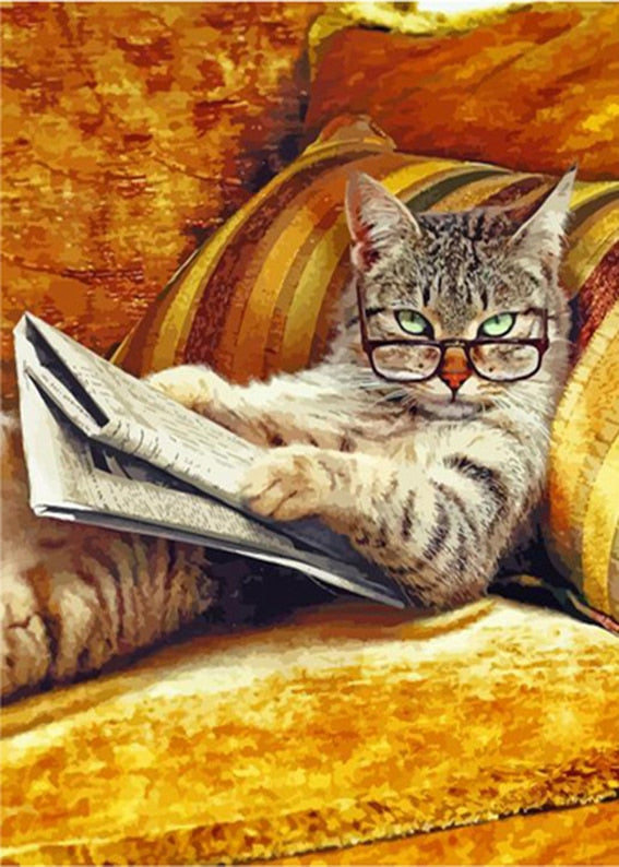 Cats Wall Art - 20x30cm(No Frame) / Orange