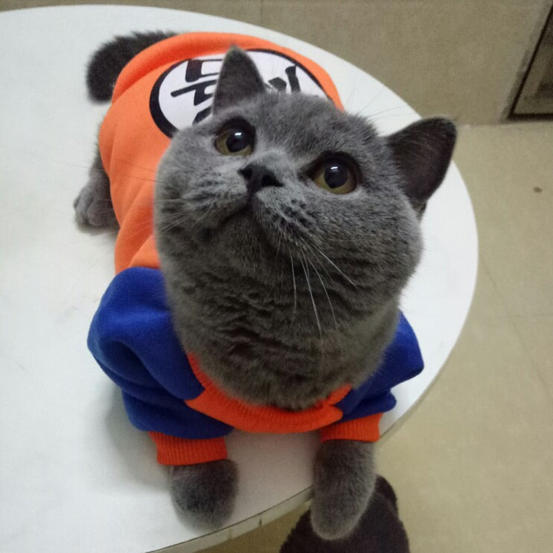 Character Cat Clothes - Clothes for cats