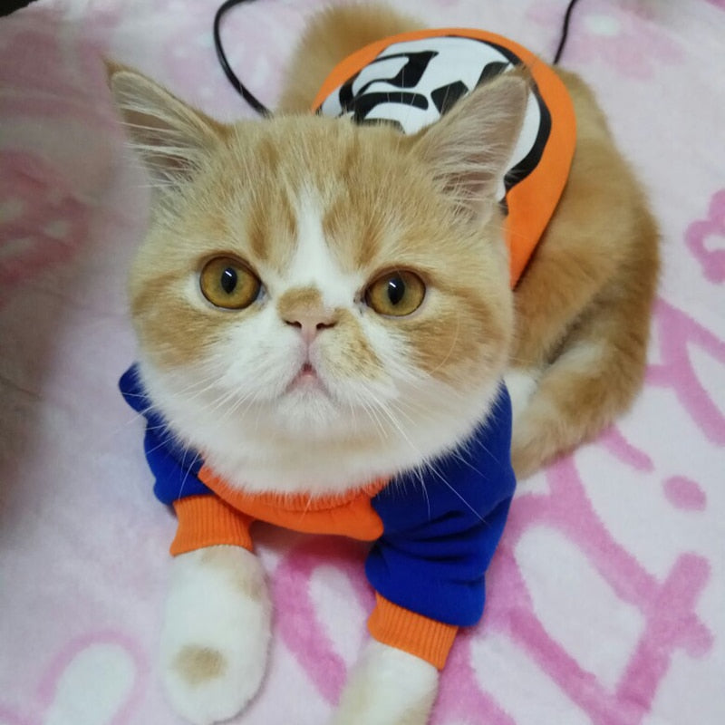 Character Cat Clothes - Clothes for cats