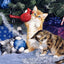 Christmas Cat Diamond Painting - Blue / 20x30cm-Round Drill