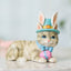 Christmas Cat Statue - Blue