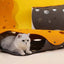 Collapsable Tunnel Cat Toy - Cat Toys
