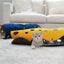 Collapsable Tunnel Cat Toy - Cat Toys