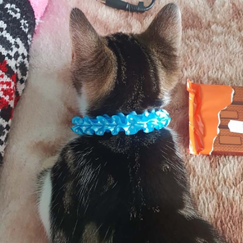 Collars For Small Cats - Cat collars