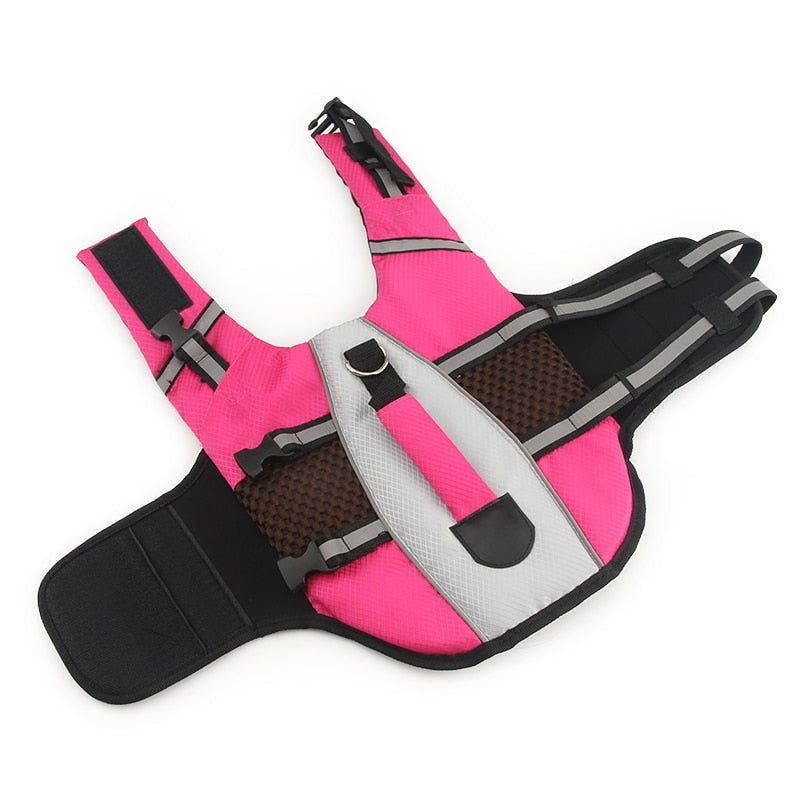 Comfortable Life Jacket for Cat - Rose / XS - Life jackets