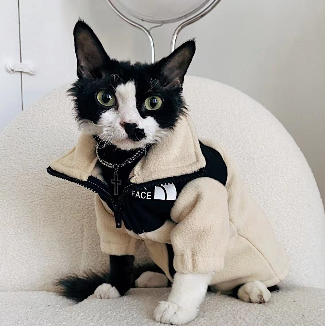 Cool Cat Clothes - Off white / S - Clothes for cats