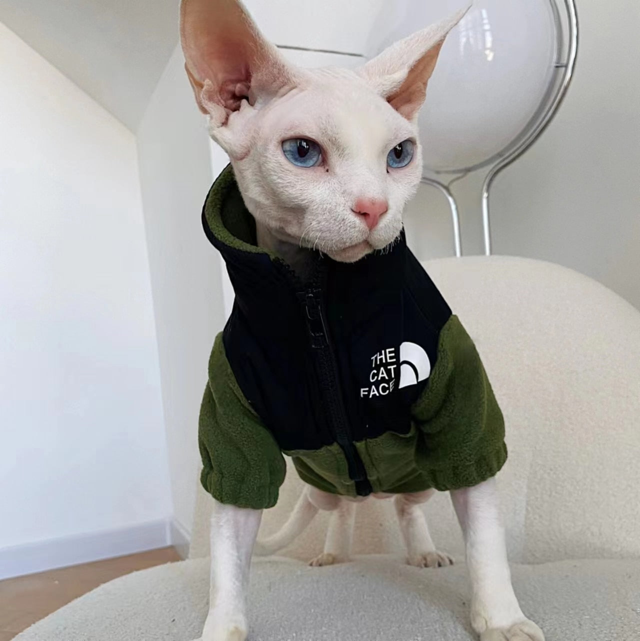 Cool Cat Clothes - Clothes for cats
