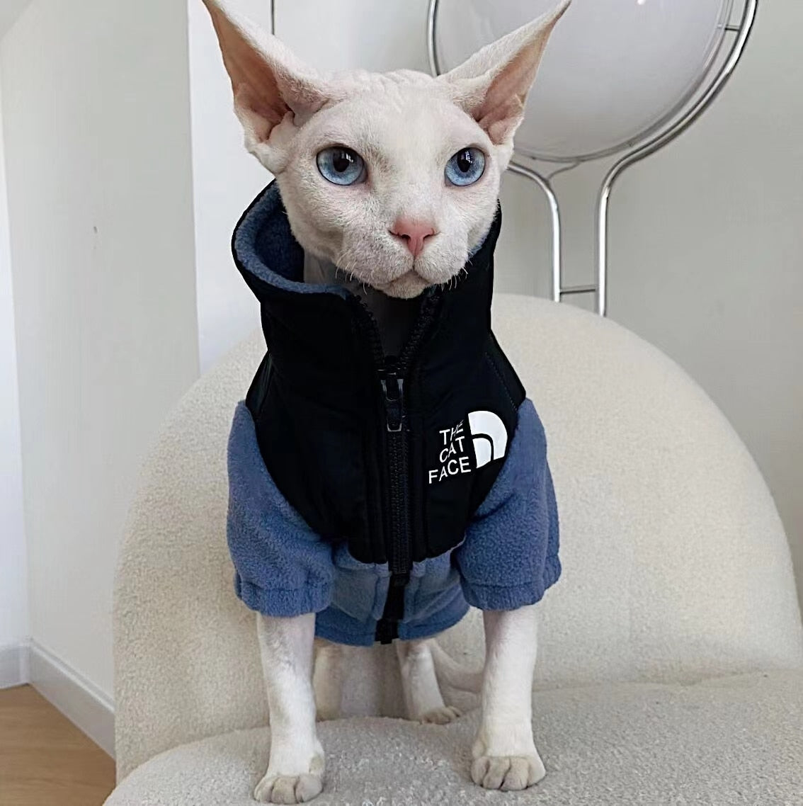 Cool Cat Clothes - Clothes for cats