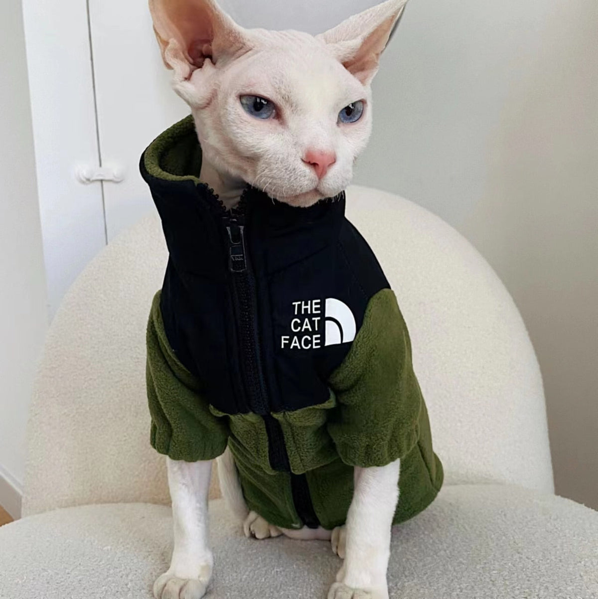 Cool Cat Clothes - Military Green / S - Clothes for cats