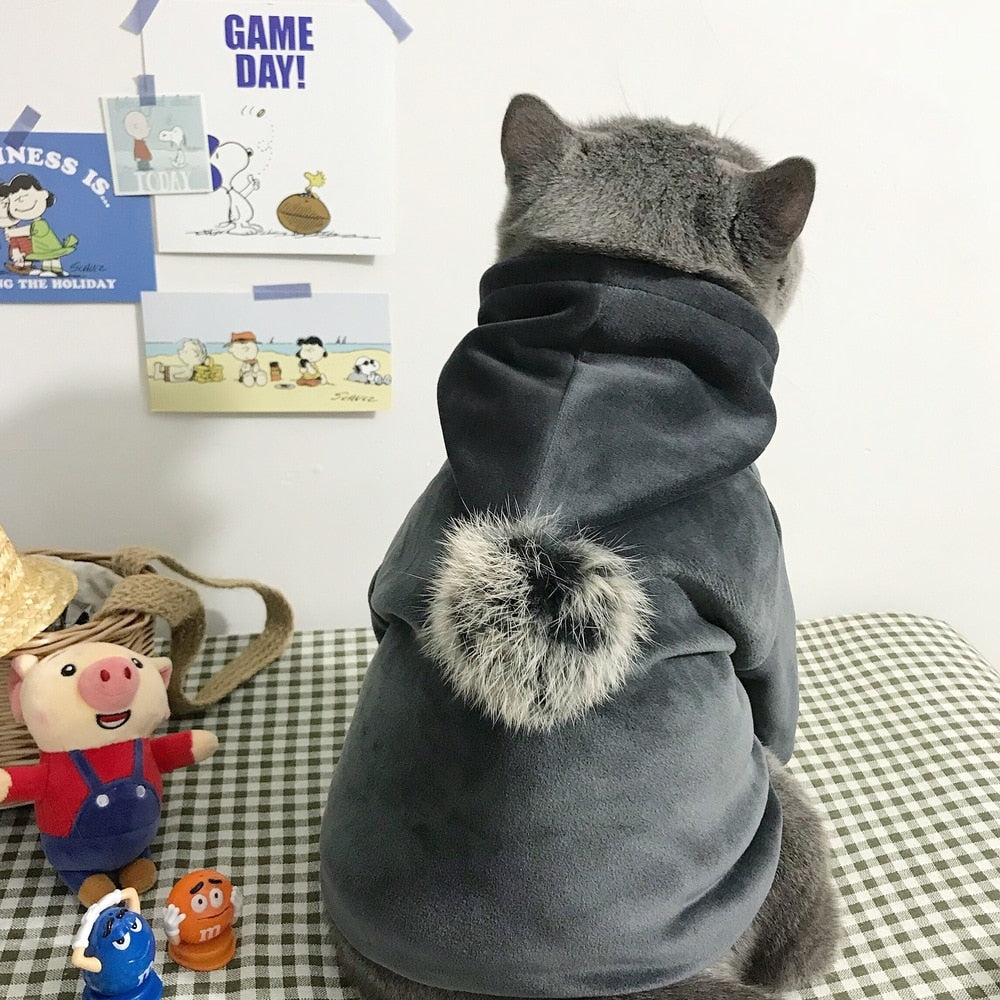 Cool Hood Clothes for Cats - Clothes for cats