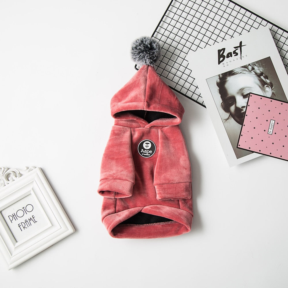 Cool Hood Clothes for Cats - Clothes for cats