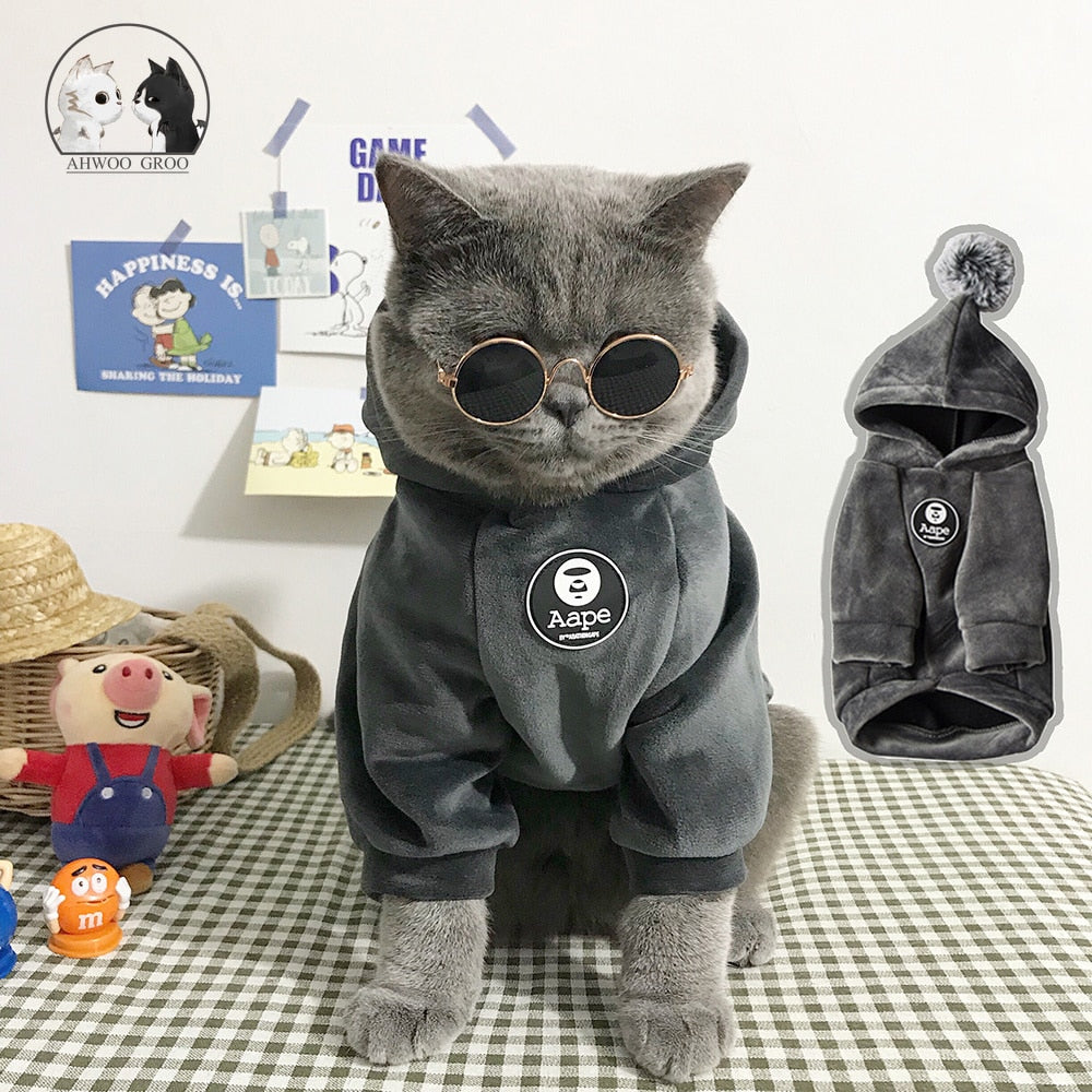 Cool Hood Clothes for Cats - Clothes for cats