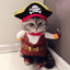Costumes for Grey Cats