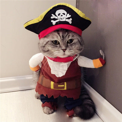 Costumes for Grey Cats