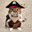 Costumes for Grey Cats