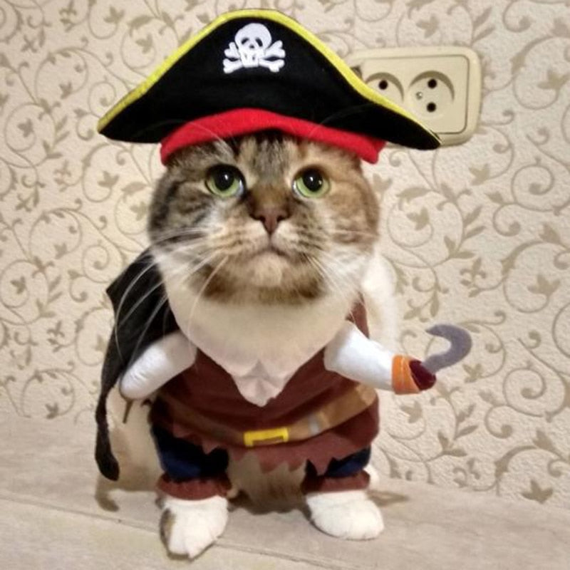 Costumes for Grey Cats