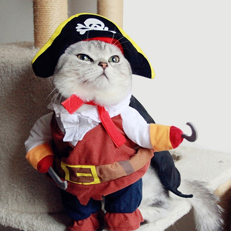 Costumes for Grey Cats