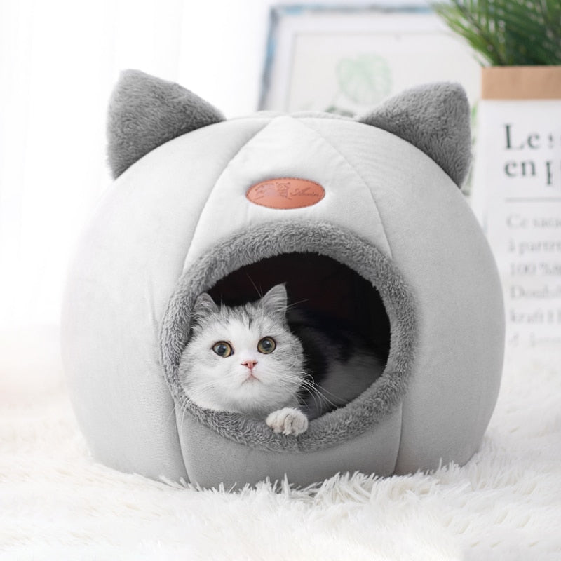 Covered Cat Bed