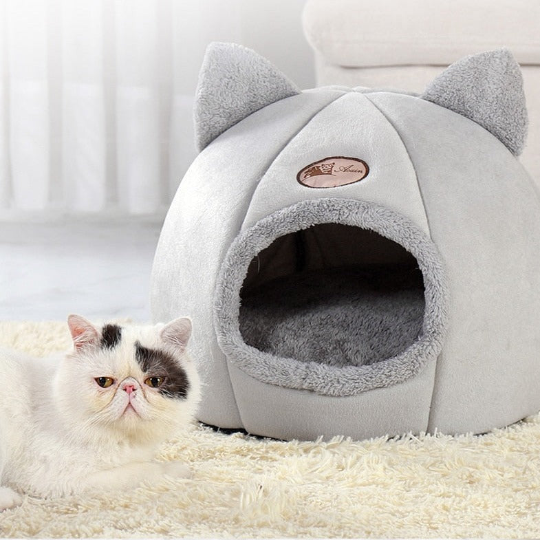 Covered Cat Bed