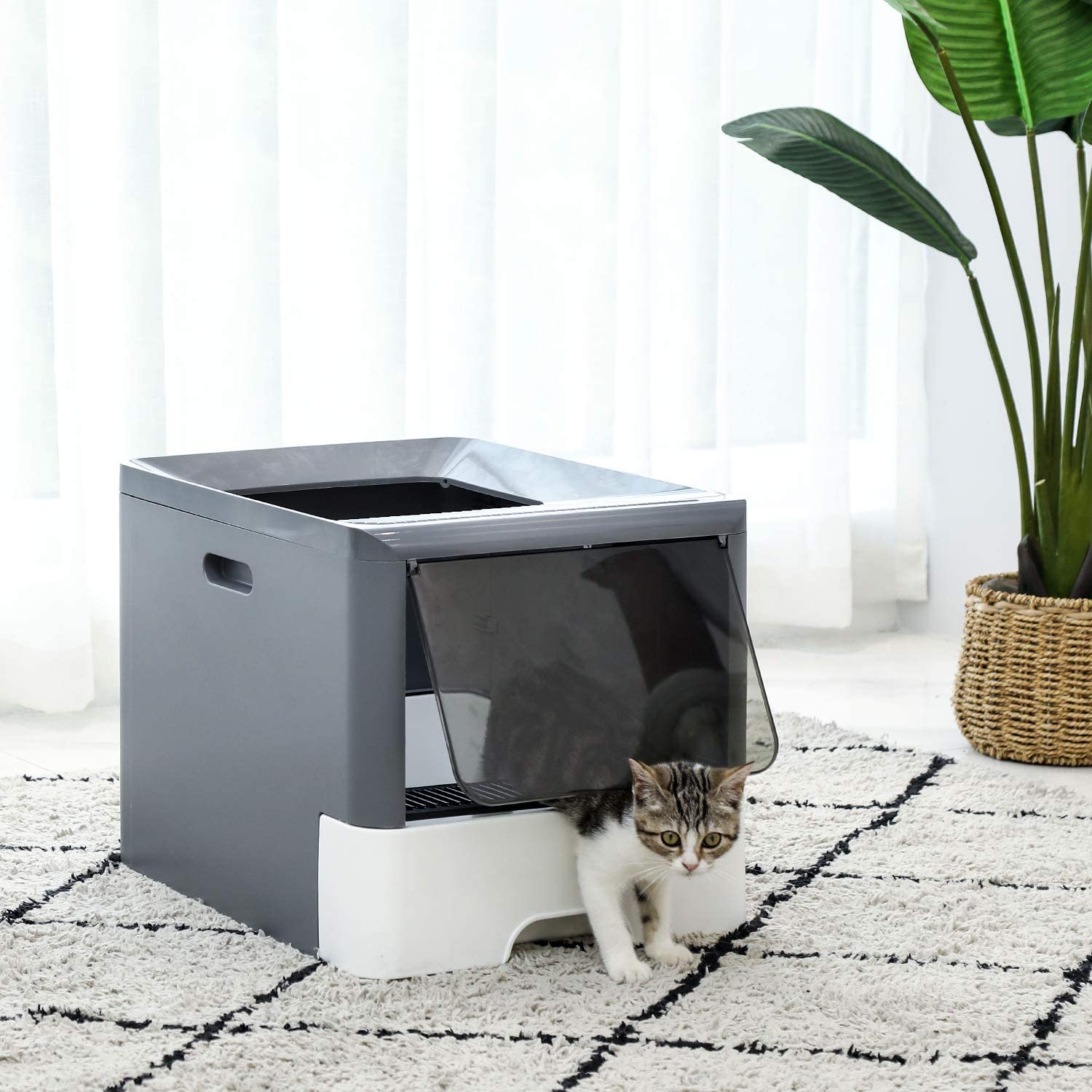 Covered Cat Litter Box - Cat litter Box
