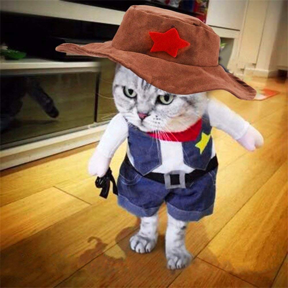 Cowboy Costume for Cats
