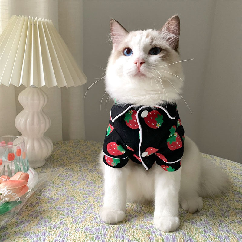 Cozy Cat Clothes - Clothes for cats