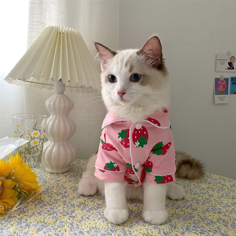 Cozy Cat Clothes - Clothes for cats