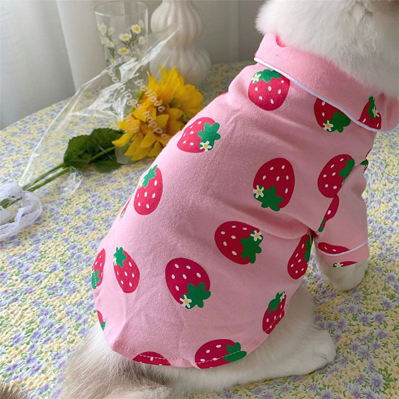 Cozy Cat Clothes - Clothes for cats