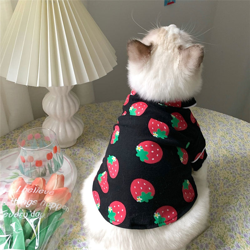 Cozy Cat Clothes - Clothes for cats