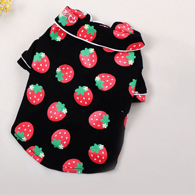 Cozy Cat Clothes - Black / XS - Clothes for cats