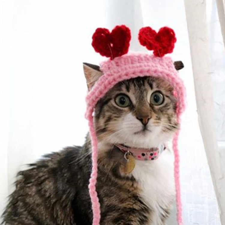 Crochet Beanie for Cat - Beanies for Cats