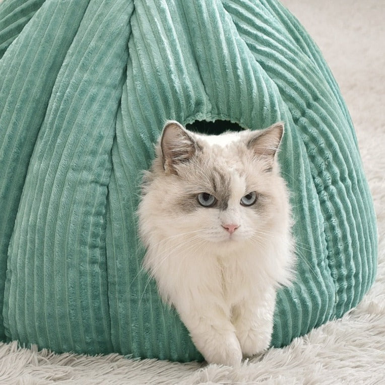 Cushioned Cat Bed