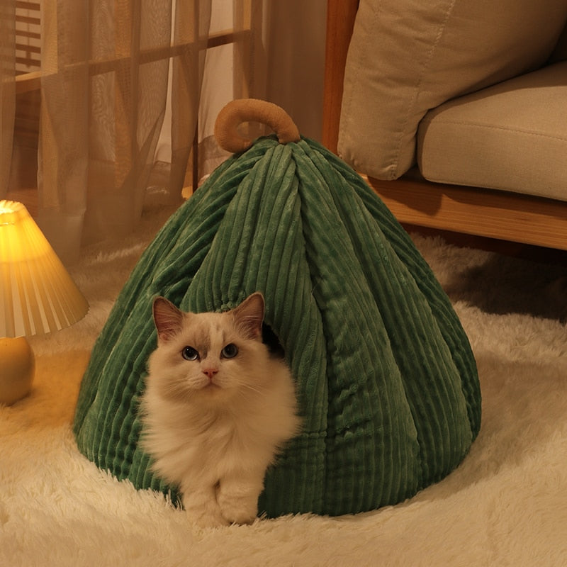Cushioned Cat Bed