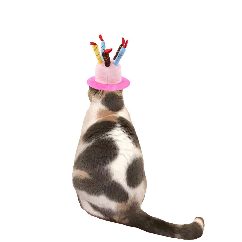 Cute Birthday Hat for Cats - Hat for Cats