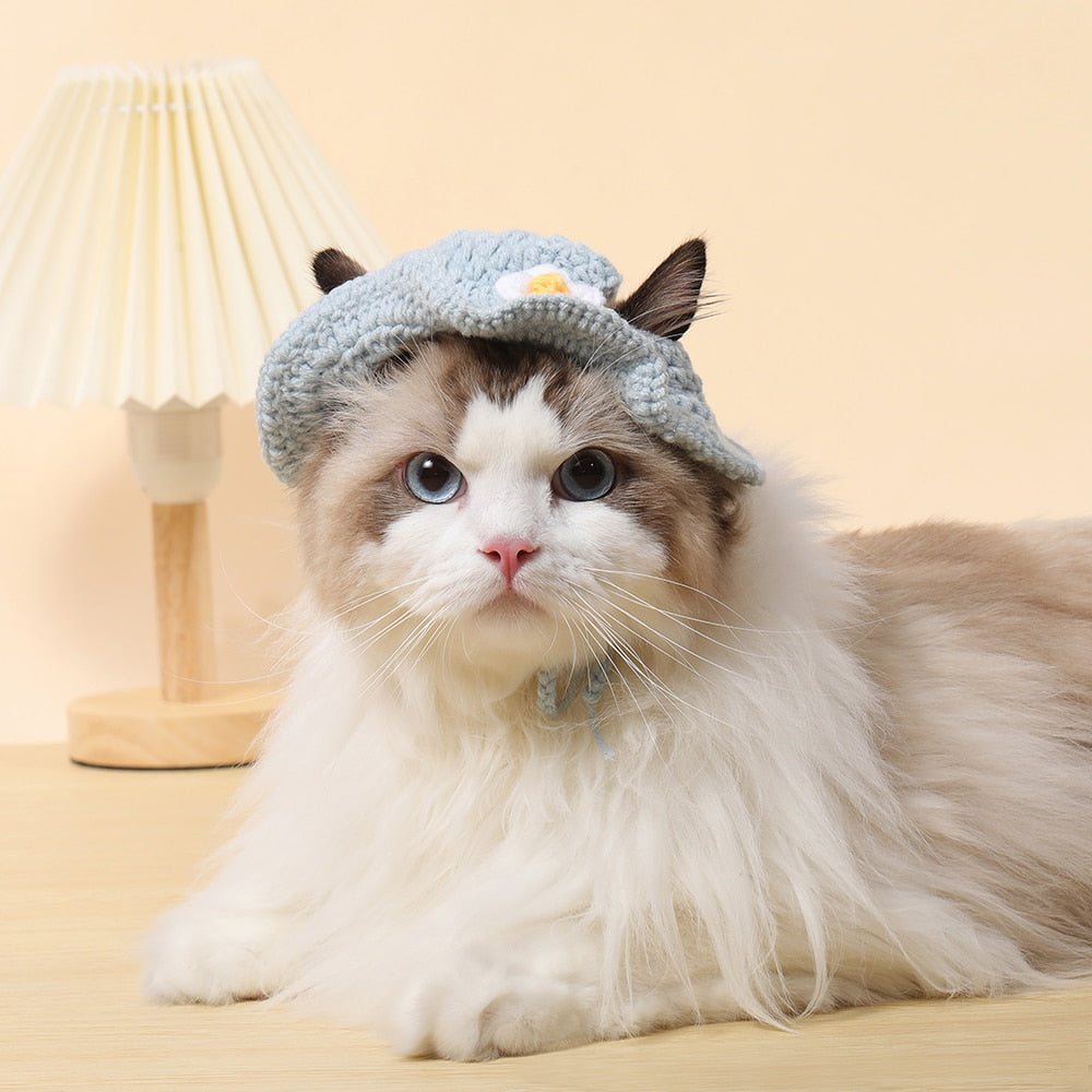 Cute Bucket Hat for Cats - Light blue / S - Hat for Cats