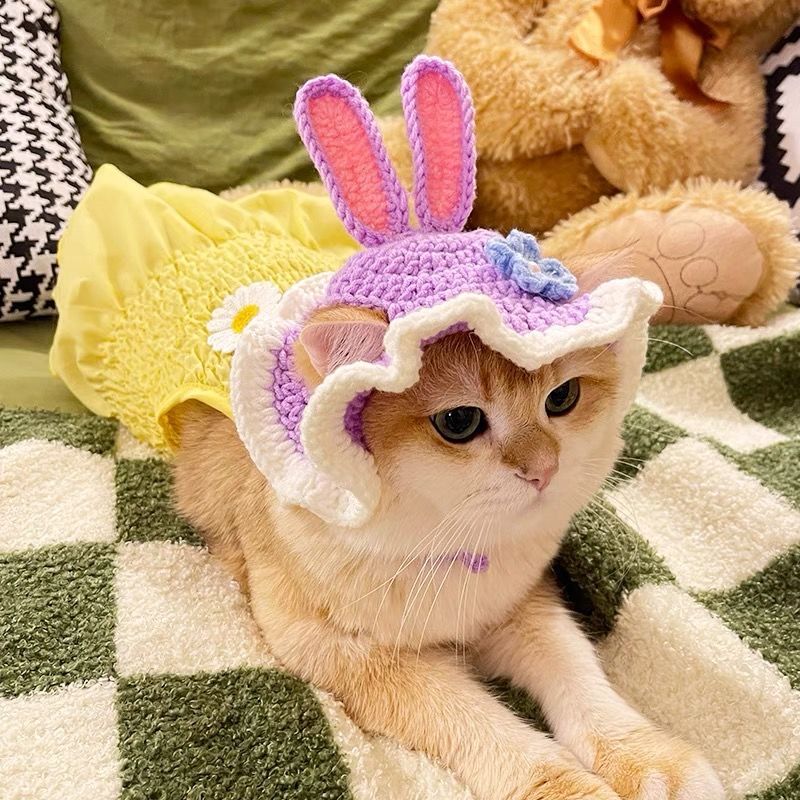 Cute Bucket Hat for Cats - Purple / S - Hat for Cats