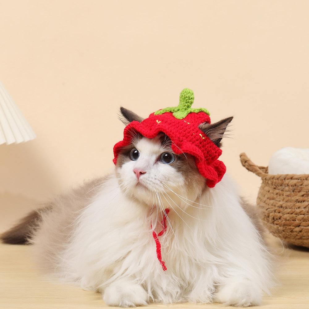 Cute Bucket Hat for Cats - Hat for Cats