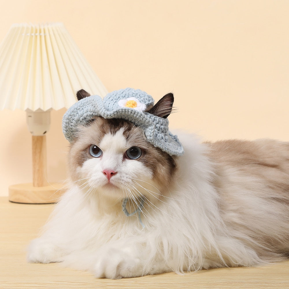 Cute Bucket Hat for Cats - Hat for Cats