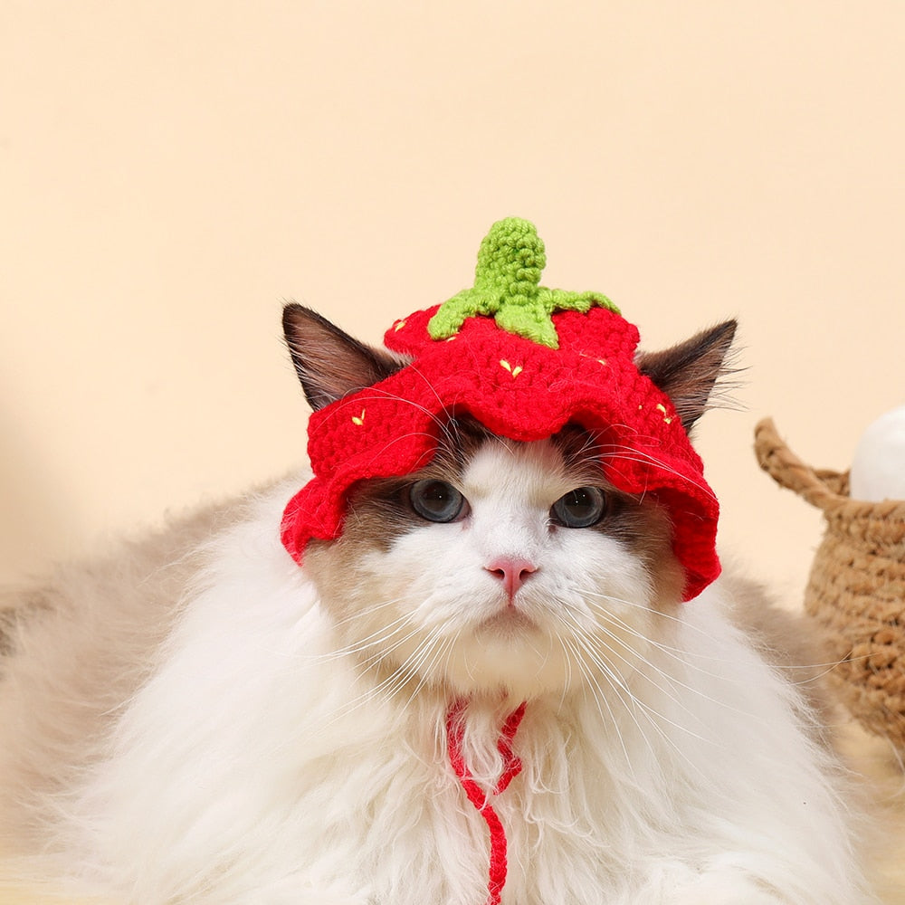 Cute Bucket Hat for Cats - Strawberry / S - Hat for Cats