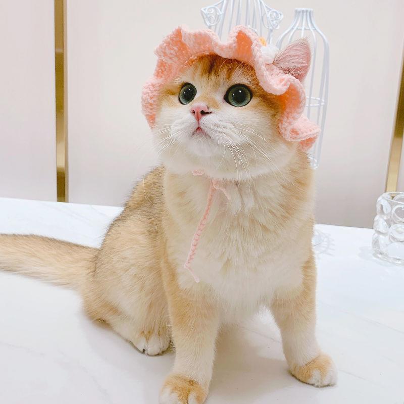 Cute Bucket Hat for Cats - Pink / S - Hat for Cats