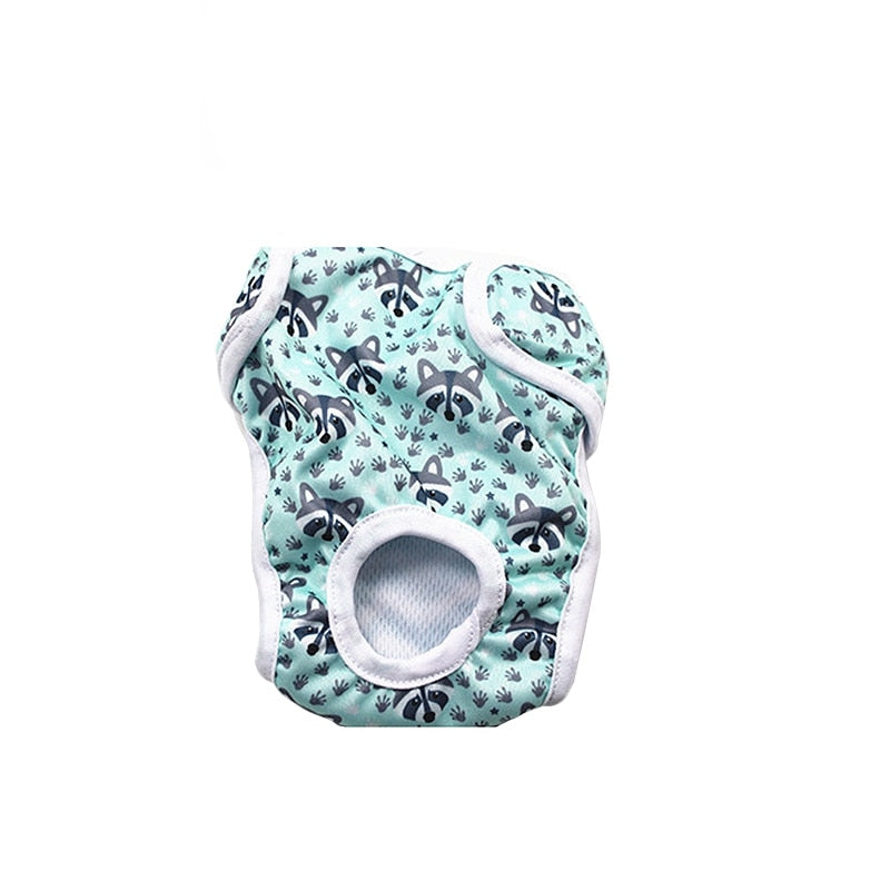 Cute Cat Diaper - Blue / XS - Underwear for Cats
