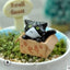 Cute Cat Figurines - Black