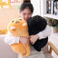 Cute Cat Pillow