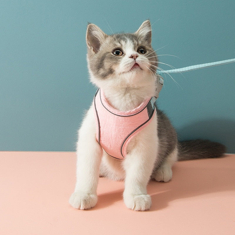 Cute Cat Vest Harness - cat harness leash