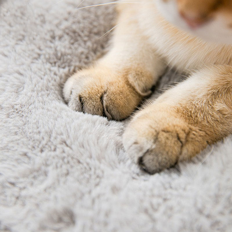 Cute Cave Cat Bed