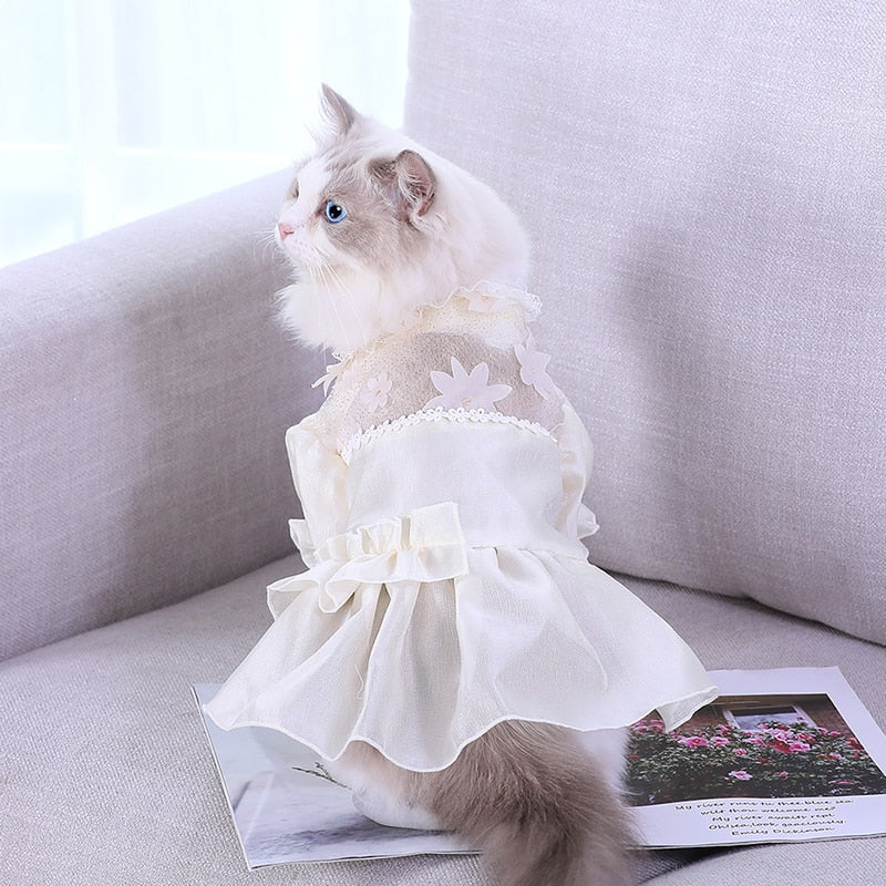 Cute Costumes for Cats