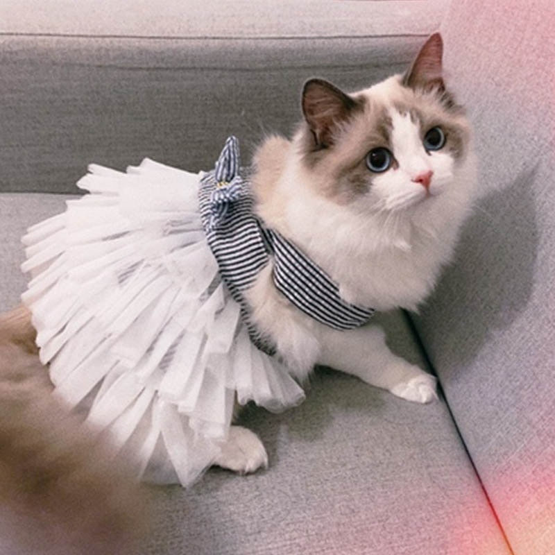 Cute Dress Cat Clothes - Clothes for cats