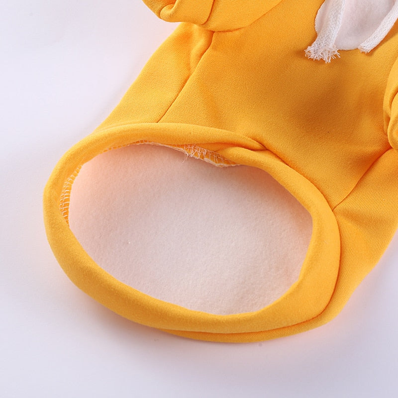 Cute Hoodie Clothes for Cats - Clothes for cats