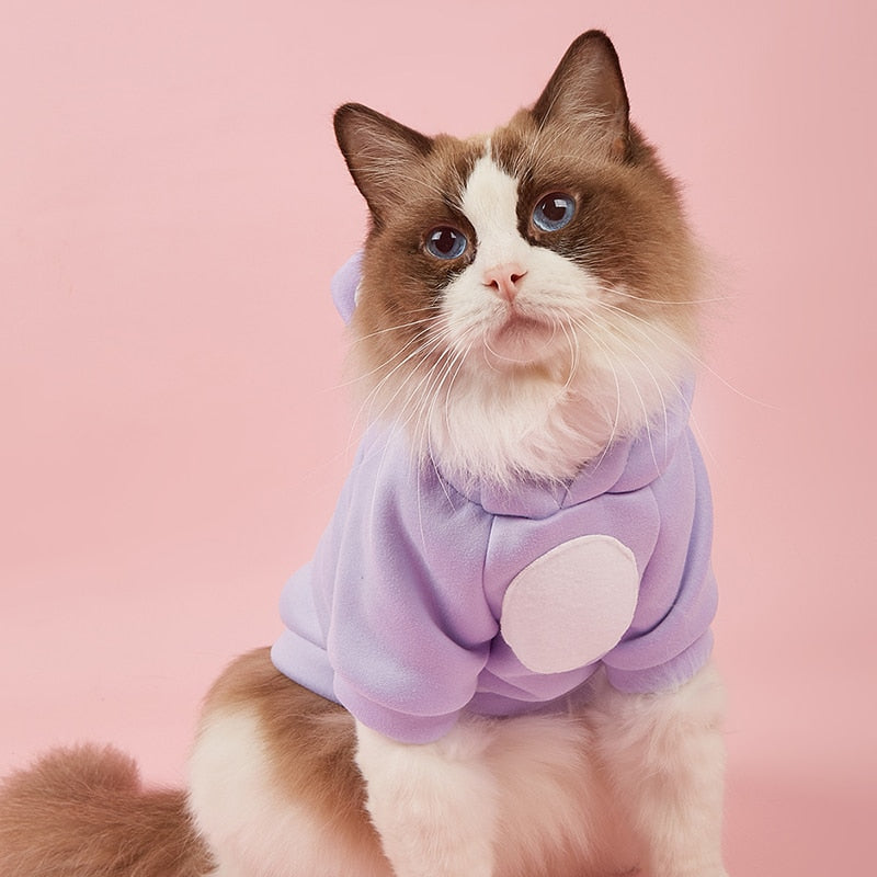 Cute Hoodie Clothes for Cats - Clothes for cats