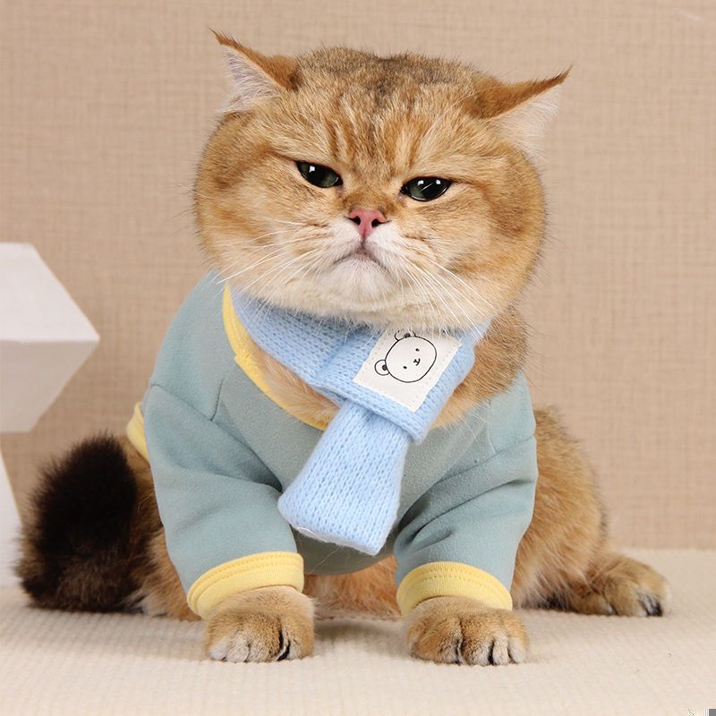 Cute Jacket Clothes for Cats - Blue / XS - Clothes for cats
